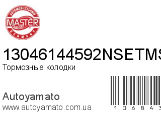 13046144592NSETMS (MASTER SPORT)